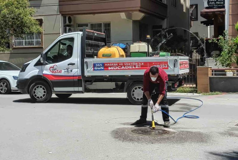 HBB HAŞERE VE VEKTÖR MÜCADELESİNDE İŞİ SIKI TUTUYOR