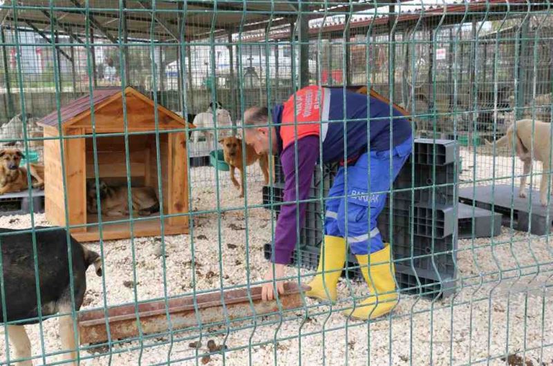 HBB HATAY’A YENİ BARINAK KAZANDIRIYOR