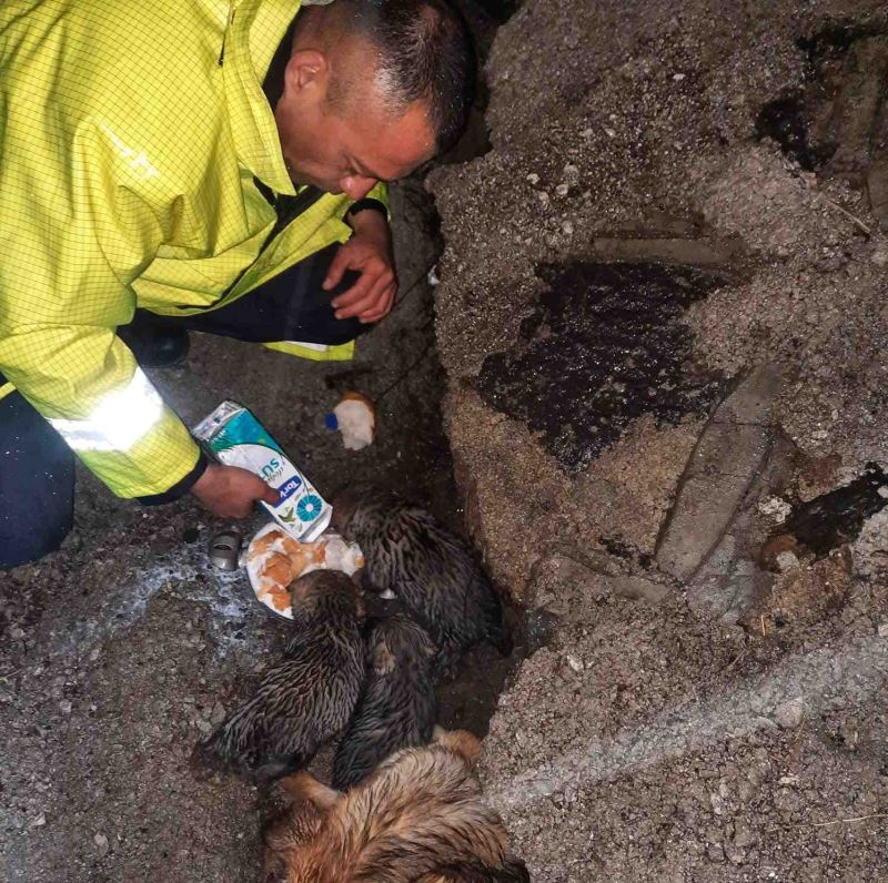 SEVİMLİ KÖPEKLERİN İMDADINA HBB İTFAİYESİ YETİŞTİ
