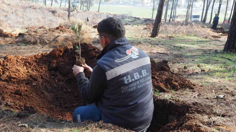 HBB 1 MİLYON FİDAN HEDEFİNE EMİN ADIMLARLA İLERLİYOR