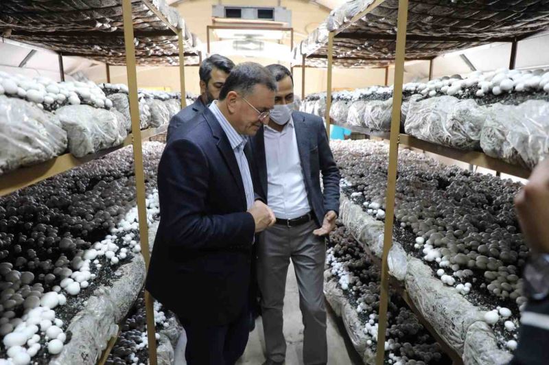 “HATAY’DAKİ KIRSAL KALKINMAYI EN ÜST SEVİYEYE ÇIKARTACAĞIZ”