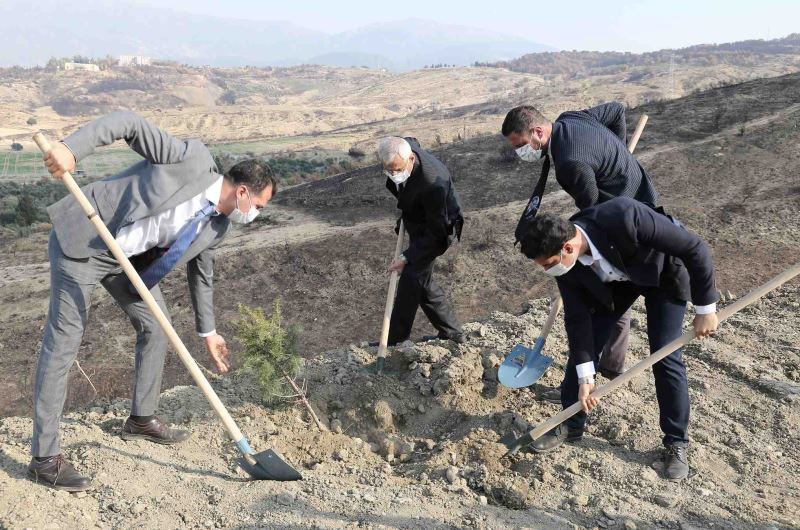 YANGIN SONRASI HATAY TOPRAKLARI HAYAT BULUYOR