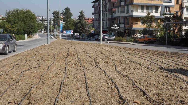 HATAY’DA DAMLAMA SULAMA SİSTEMİ YAYGINLAŞIYOR