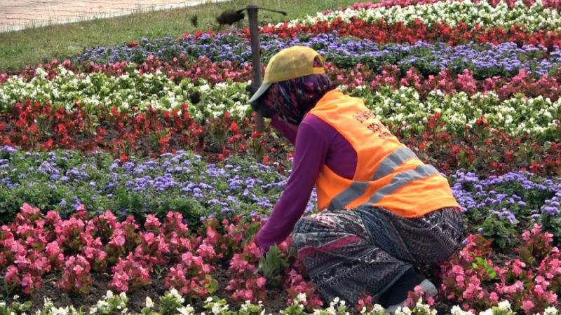 Samsun’un Refüjleri Kadınların Elinde Güzelleşiyor