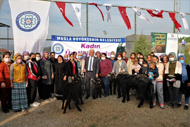 Büyükşehir’den Ula’lı Kadın Üreticilere Kıl Keçisi Desteği