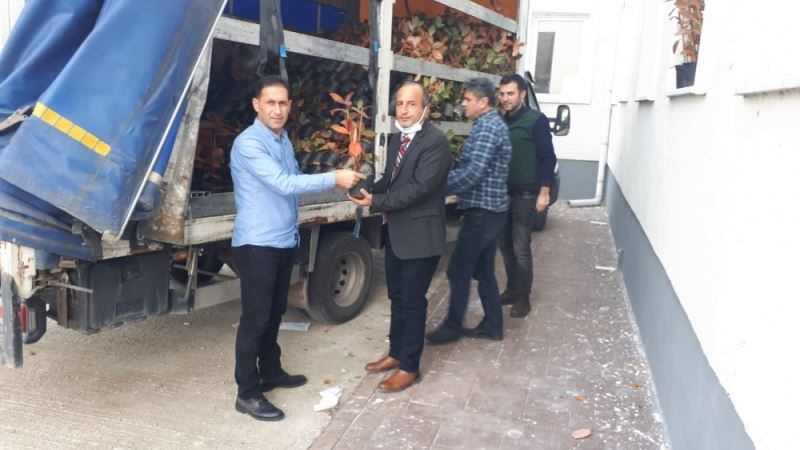 Samsun’un yeni meyvesi: Aronya