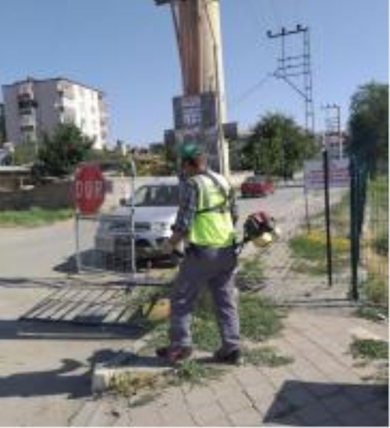 Yabani Ot Temizliği
