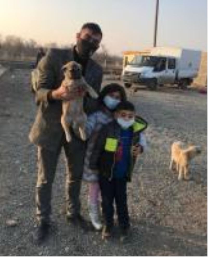 Hayvan Barınağımızdaki bir can dostumuzu daha sıcak bir yuvaya kavuşturduk
