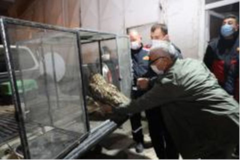 Puhu Kuşu itfaiye ekiplerimizin başarılı çalışması sonucu kurtarıldı
