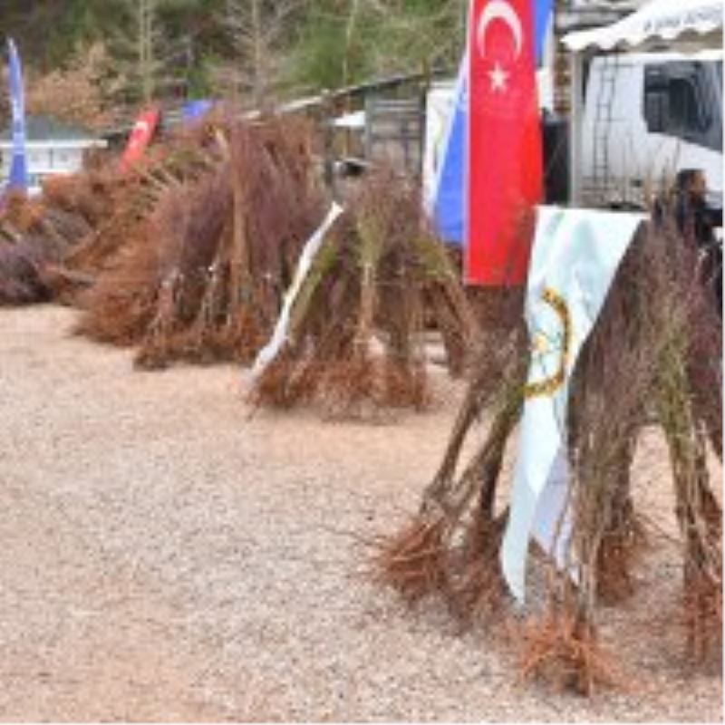 Dağ yöresi meyvecilikle kalkınacak