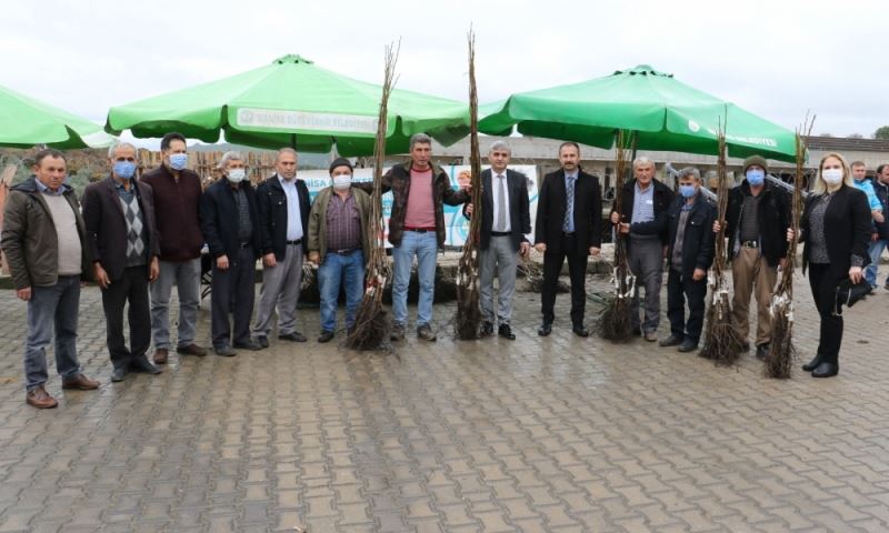 Büyükşehir Üreticileri Meyvecilik İle Kalkındıracak
