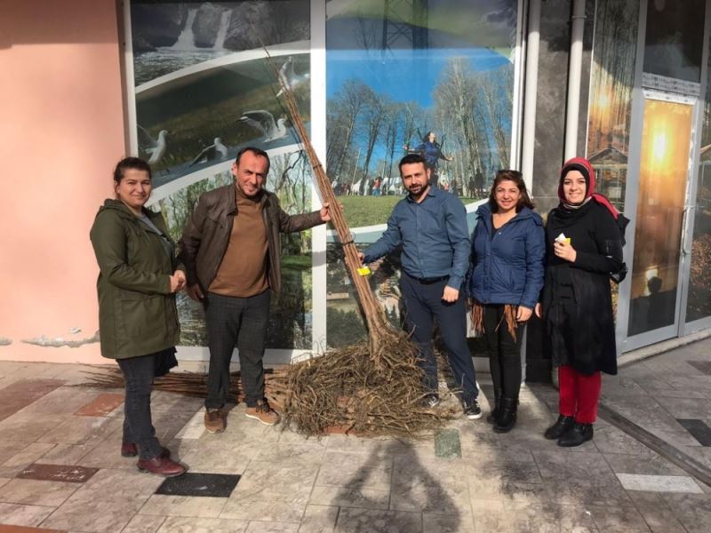 Büyükşehir’den cennet meyvesi desteği