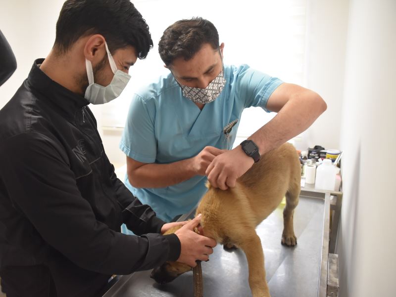 Neşeli Patiler Kliniği Açıldı