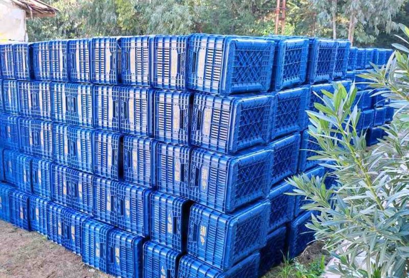 HBB’DEN ÜRETİCİYE ÜCRETSİZ ZEYTİN TOPLAMA KASASI