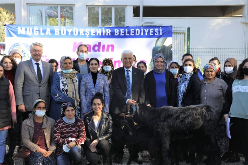 Büyükşehir Kıl Keçisi Desteğini Köyceğiz’de Sürdürdü