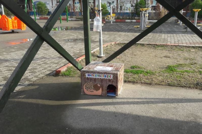 Kedi Evleri, Kedi Yoğunluğunun Fazla Olduğu Bölgelere Bırakıldı