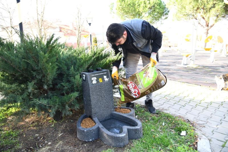 Can Dostların Mamaları ‘Patiler’ Sayesinde Islanmayacak