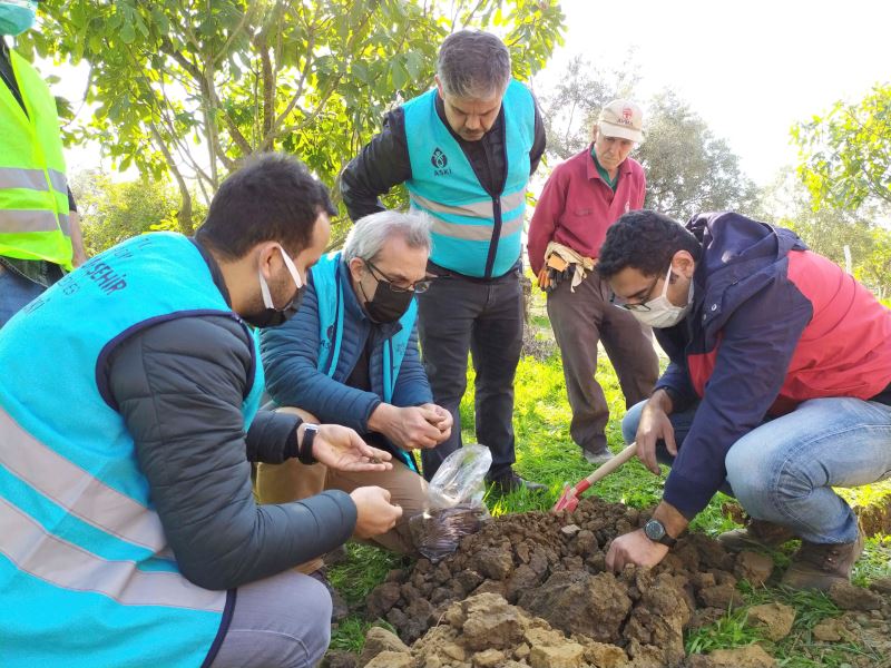 GERMENCİK’TEKİ ÇATLAKLARIN KURAKLIK KAYNAKLI OLDUĞU DEĞERLENDİRİLDİ