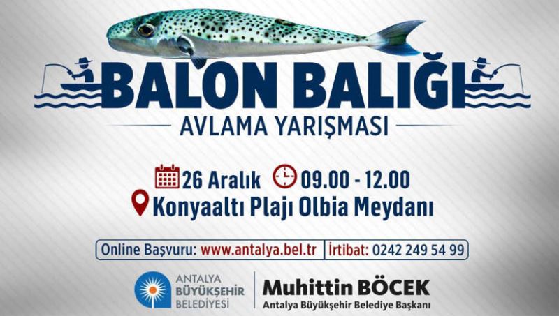 Oltacılar balon balığı için yarışacak