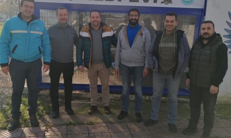 Kedi Evimizdeki Canlar, Babesia Taramasından Geçti