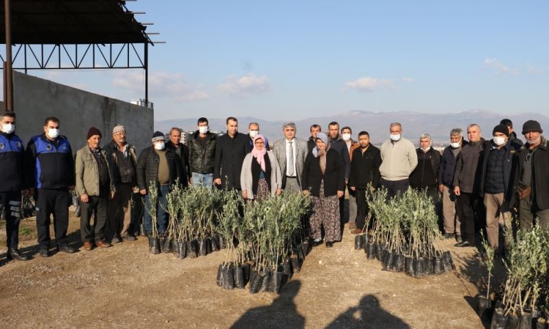 Büyükşehir, 100 Bin Meyve Fidanını Üreticilere Teslim Etti