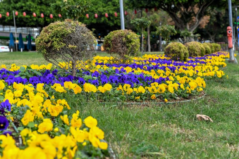 Büyükşehir, Kadın Eliyle Mersin’i Çiçek Gibi Yapıyor