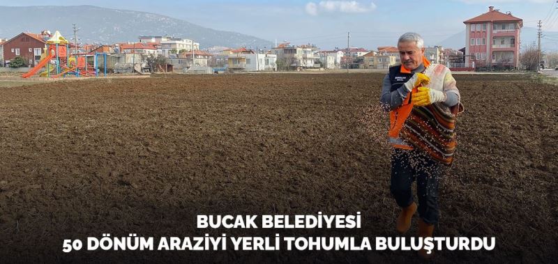 BUCAK BELEDİYESİ, 50 DÖNÜM ARAZİYİ YERLİ TOHUMLA BULUŞTURDU