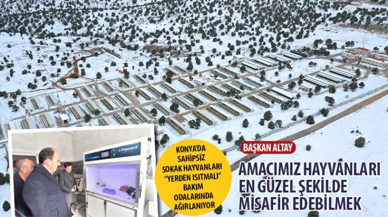 Konya’da Sahipsiz Sokak Hayvanları “Yerden Isıtmalı” Bakım Odalarında Ağırlanıyor