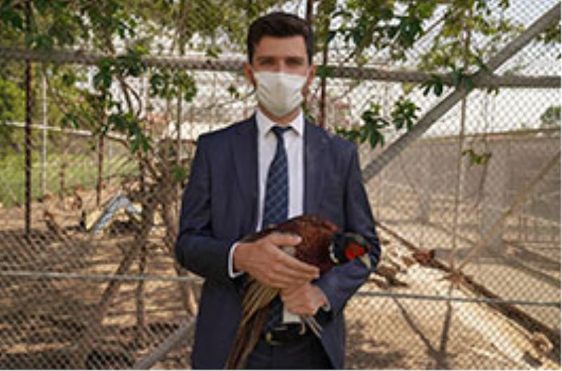 Erbaa Belediyesi doğaya 600 sülün bırakacak