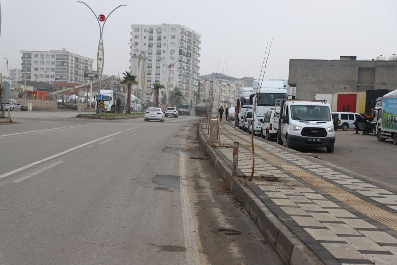 “Cizre’de Ağaçlandırma Faaliyetleri Tüm Hızı ile Devam Ediyor”