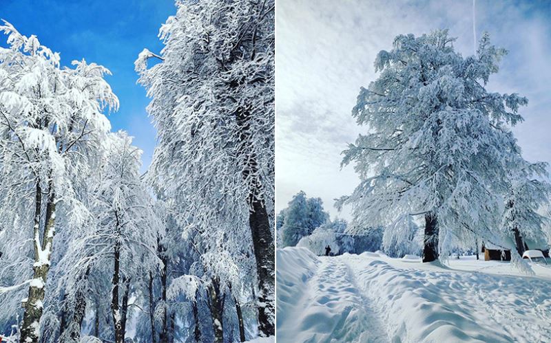 Kartepe kış masalı gibi