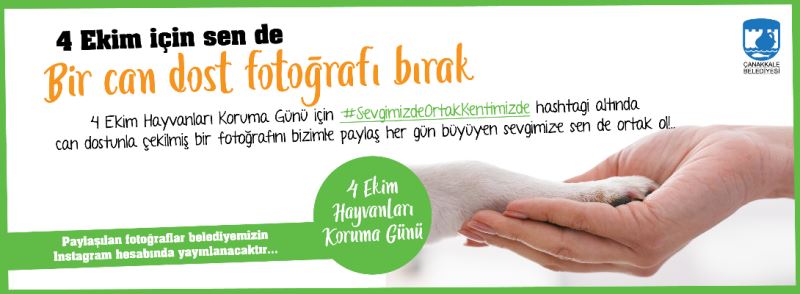 4 Ekim İçin Sen de Bir Can Dost Fotoğrafı Bırak