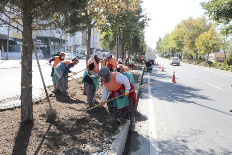 Belediye Ekiplerinden Refüj Ve Kavşaklarda Bitkilendirme Ve Bakım Çalışması
