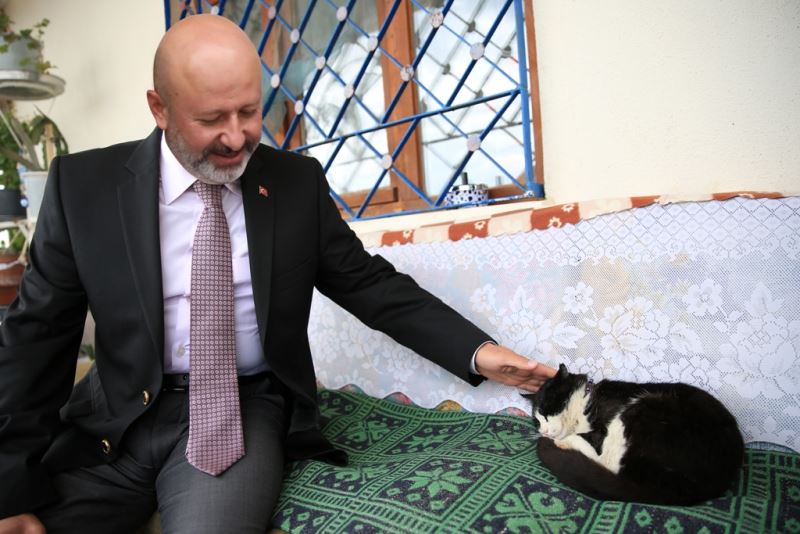 KOCASİNAN’DAN SICAK BİR YUVA; ‘KÜÇÜK DOSTLAR KEDİ KASABASI’