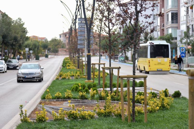 YENİ NESİL PEYZAJ ÇALIŞMALARI İLE CADDELER GÖZ KAMAŞTIRIYOR
