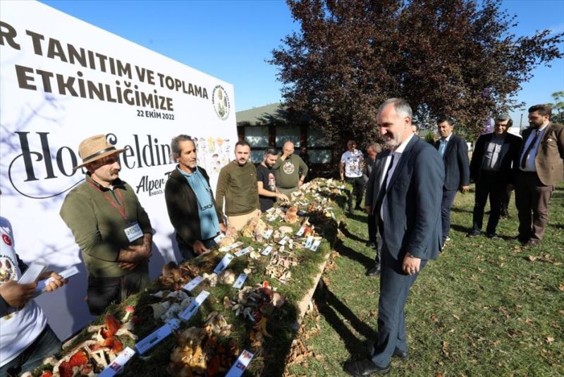 Türkiye’nin Mantar Avcıları İnegöl’de Buluştu