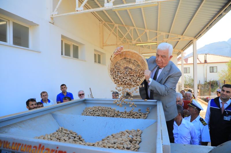 Büyükşehir’den Datça Bademini ve Zeytinciliği Yaygınlaştıracak Hamle