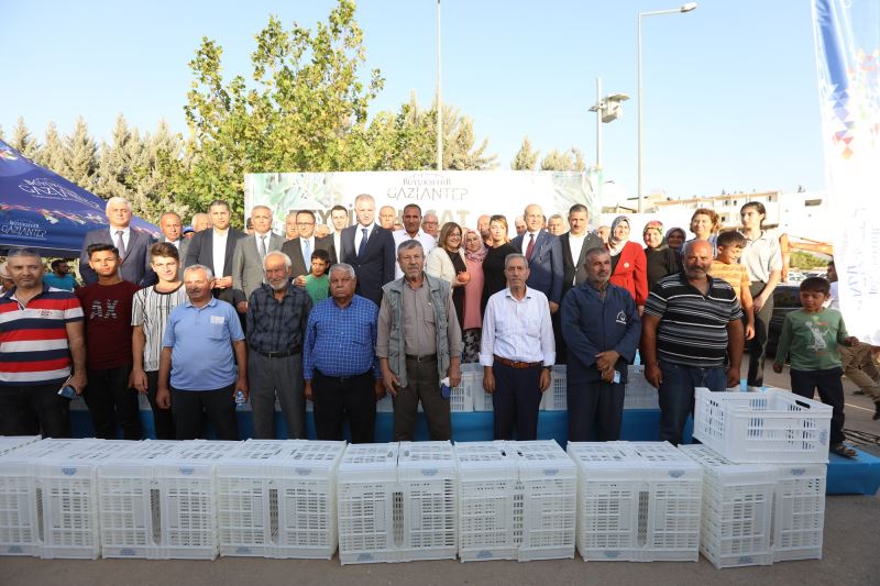 GAZİANTEP BÜYÜKŞEHİR OĞUZELİ’NDE 10 BİN HASAT KASASI DAĞITTI