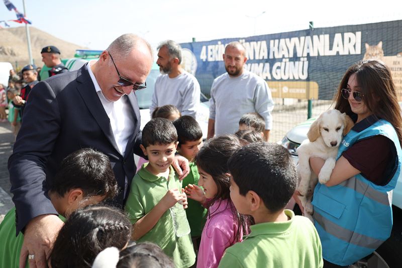 HAYVAN BARINAĞIMIZ ANADOLUNUN EN İYİSİ