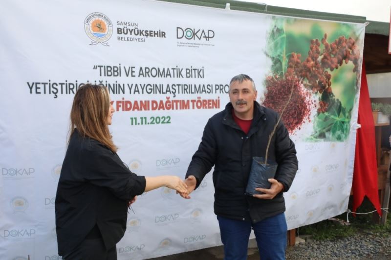 Karadeniz’in ilk ‘Sumak’ bahçeleri Samsun’da kurulacak