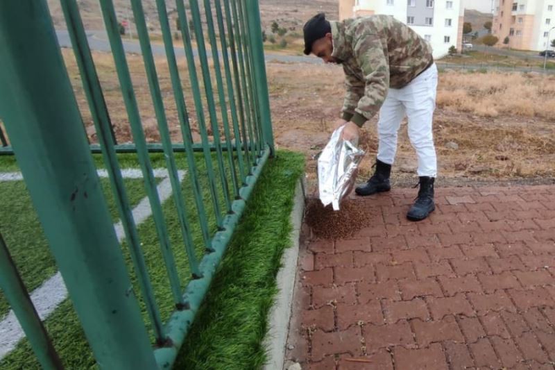 Belediyemize bağlı ekiplerimiz sevimli dostlarımız için ilçe genelinde yemleme ve mama dağıtımı yapmıştır.