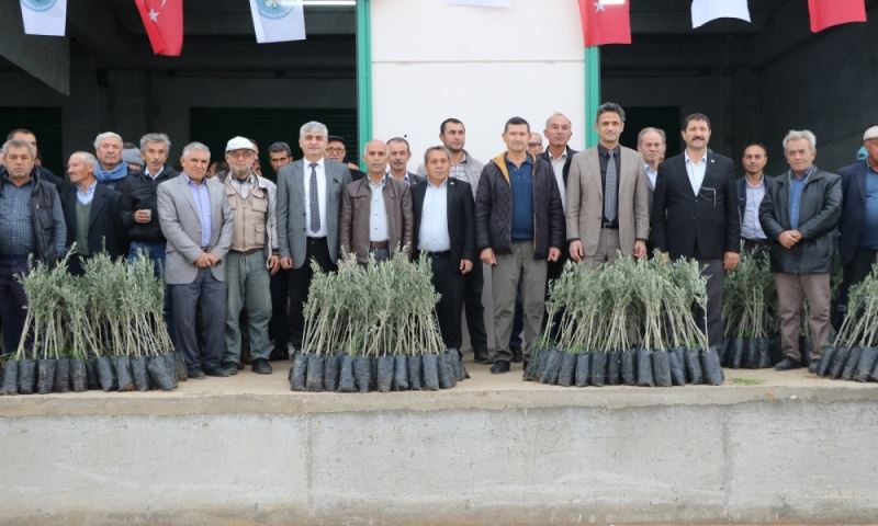 Büyükşehir Demirci’de Fidanları Üreticilerle Buluşturdu