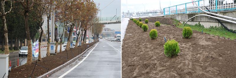 D-100 kuzey yan yolda yeşillendirme çalışması