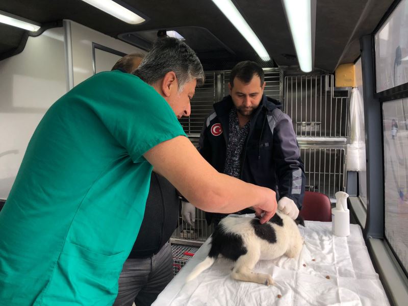 VETBÜS Aralık Yolculuğuna Savaştepe’den Başlıyor