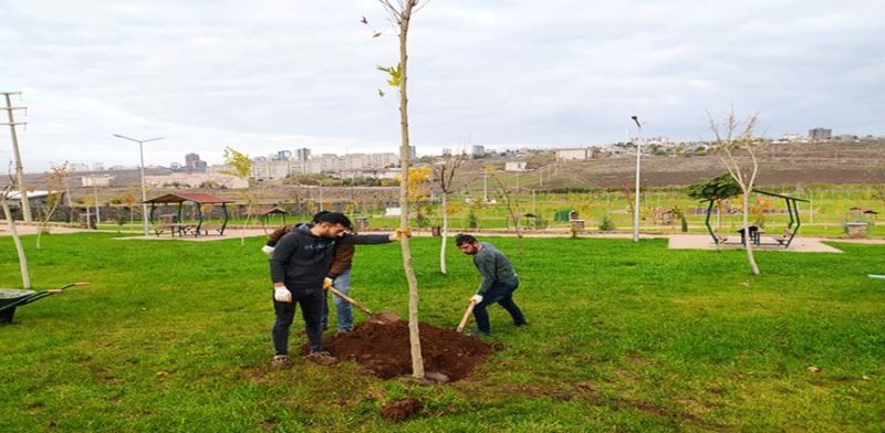 SİVEREK’TE PARKLARDA AĞAÇ DİKİMİ YAPILIYOR