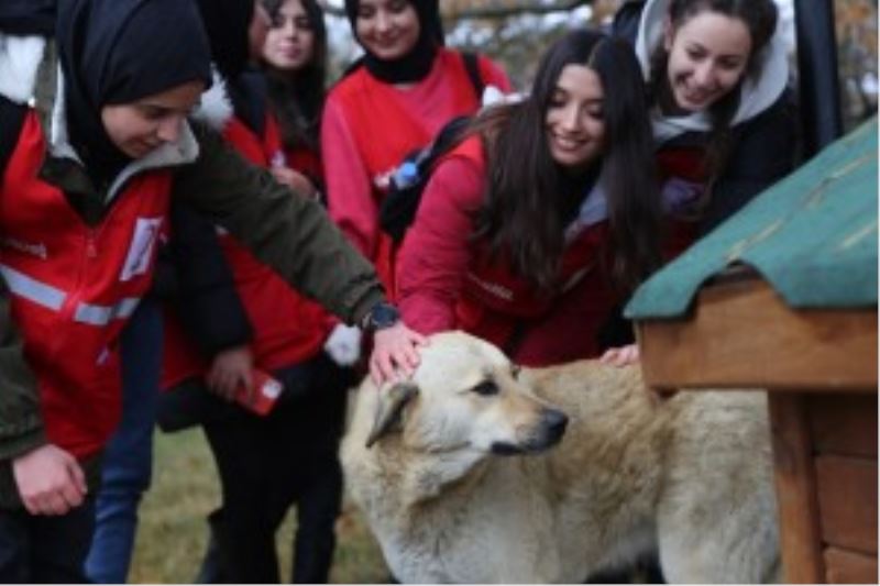 Belediyemiz Soğuk Kış Günlerinde Sokak Hayvanlarını Unutmuyor