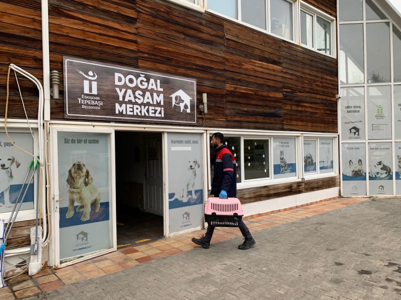 O YAVRULAR EMİN ELLERDE