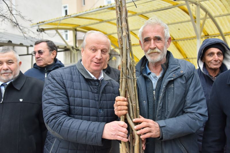 BOZÜYÜK’TE 898 ADET CEVİZ FİDANI DAĞITILDI