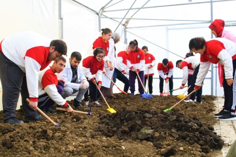 Okul serasında kışlık sebze