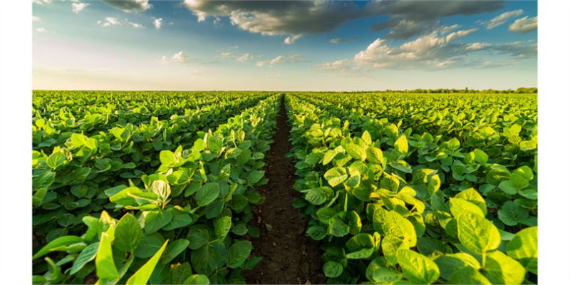 TARIM VE ORMAN BAKANLIĞI TARIM TOPRAKLARININ KORUNMASI VE GENİŞLETİLMESİ İÇİN ÇALIŞIYOR